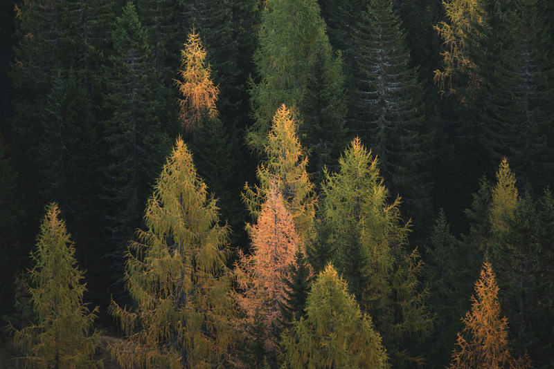 Impegno ambientale